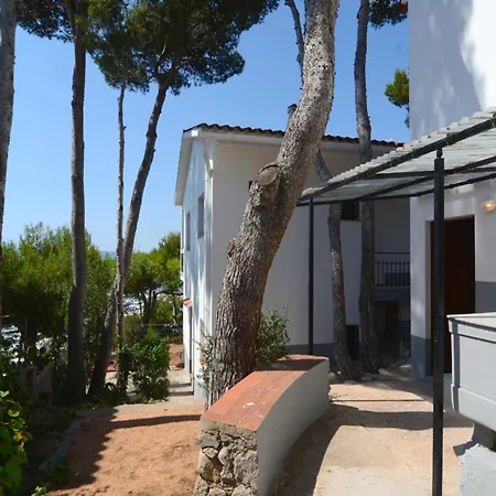 Apartment The In Estartit